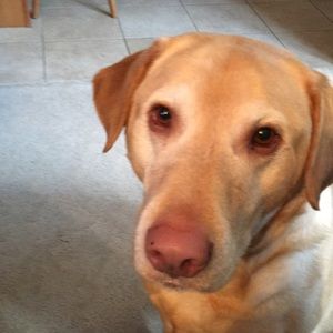 Meet your Posher, Gwen